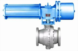 VAN BÓNG TRUNNION KÍCH THƯỚC LỚN HISAKA TF5